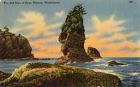 Old Man of Cape Flattery