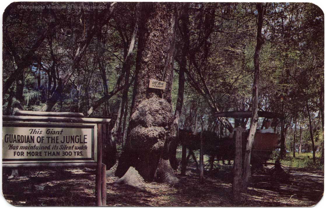 Guardian of the Jungle